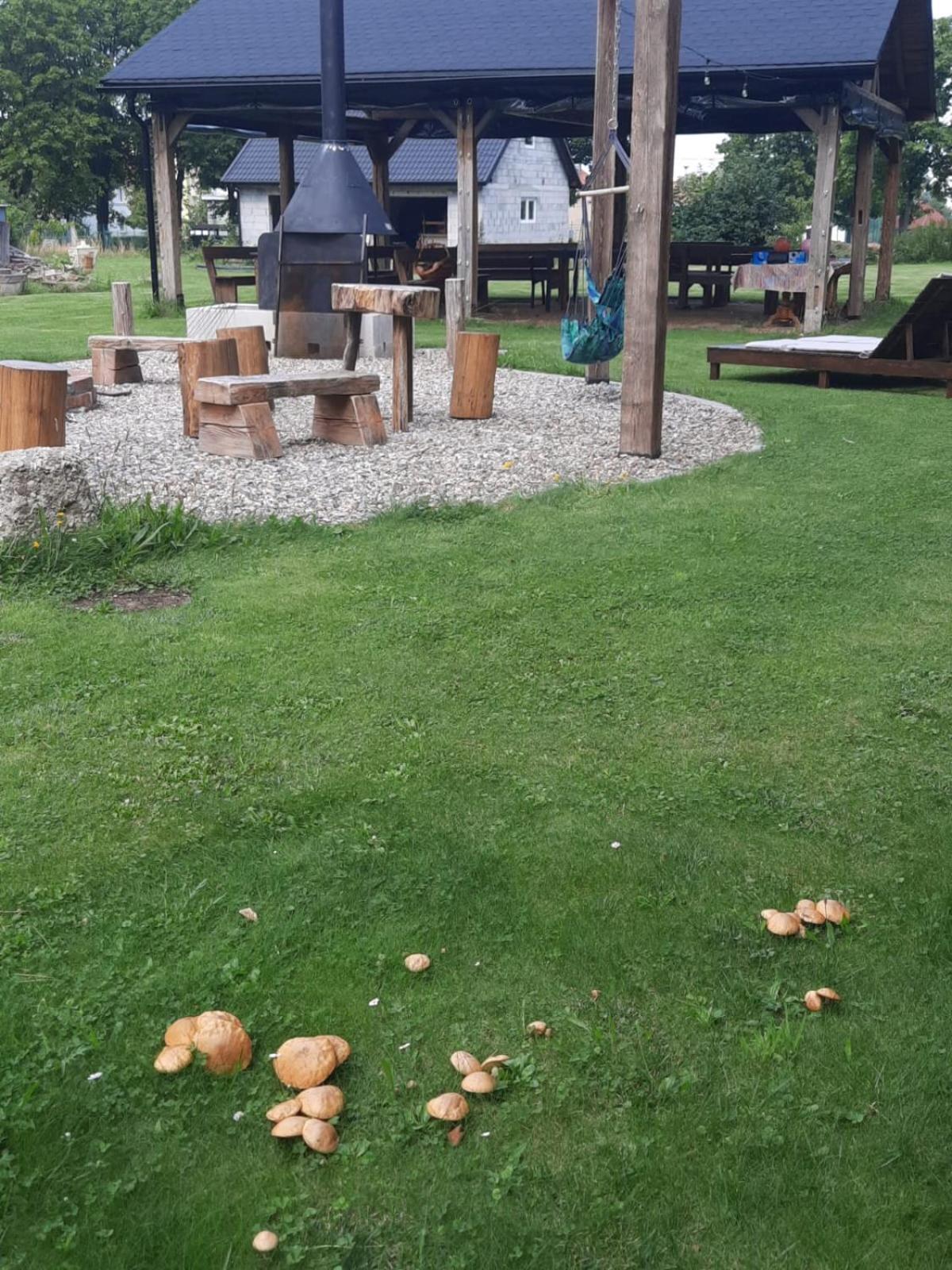Harcowka Villa Złoty Stok Екстериор снимка